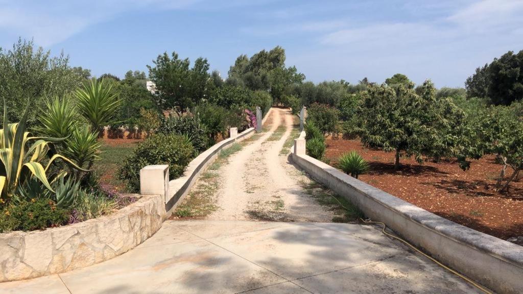 فندق Da Ksenia سيغلي ميسابيكا المظهر الخارجي الصورة